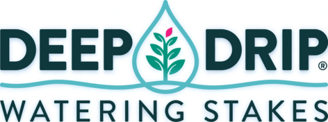 Untitled design (3)-1