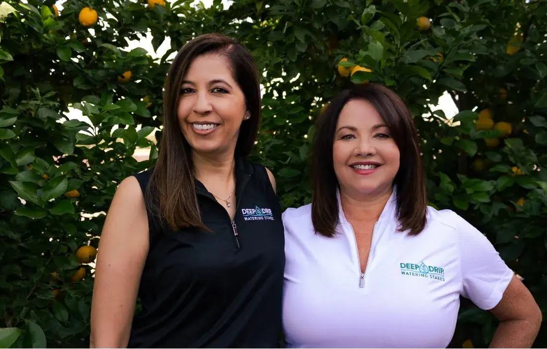 ABOUT-US-team-highlight