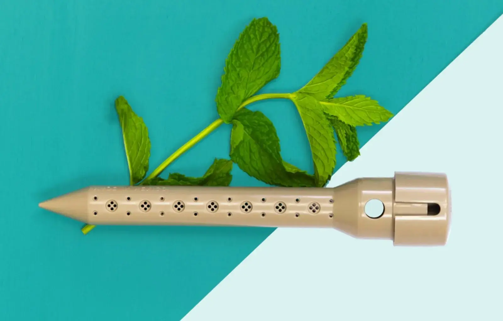 Homepage-feature-image@2x